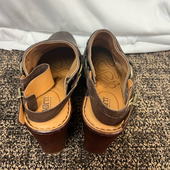 Born mules - Picture 5 of 7